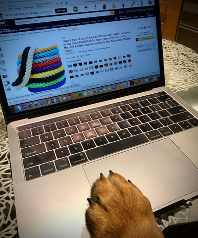 Cómo comprar online la correa perfecta para perros - Ravenox Dog Paw