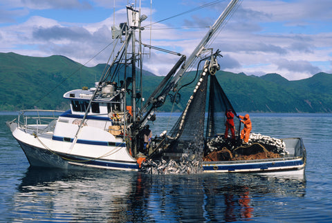 HMPE Commercial Fishing Lines including trawl ropes, gilsons, purse lines and aquaculture