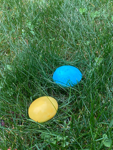 Ravenox Easter Egg Hunt For Dogs Dye Eggs Naturally