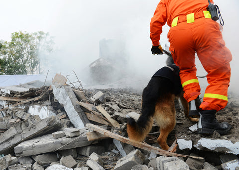 Ravenox Bombero Rescate Perro Delgada Línea Roja