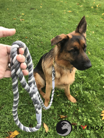 Rope Dog Leash - Cuerda de algodón suave para perros y cachorros