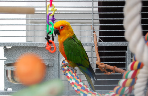 Bird toys, bird cage with twisted cotton rope