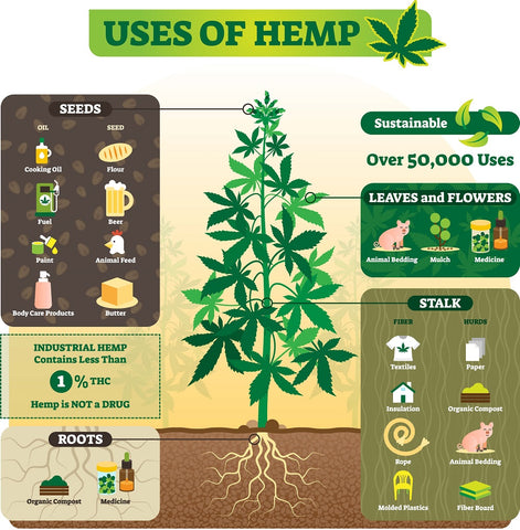 Uses of Hemp | Hemp Rope and Ropes