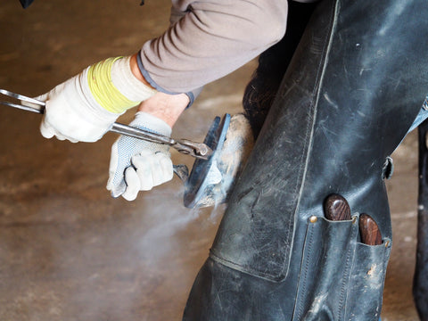 Farrier Using Horseshoe Pliers for Equine Care