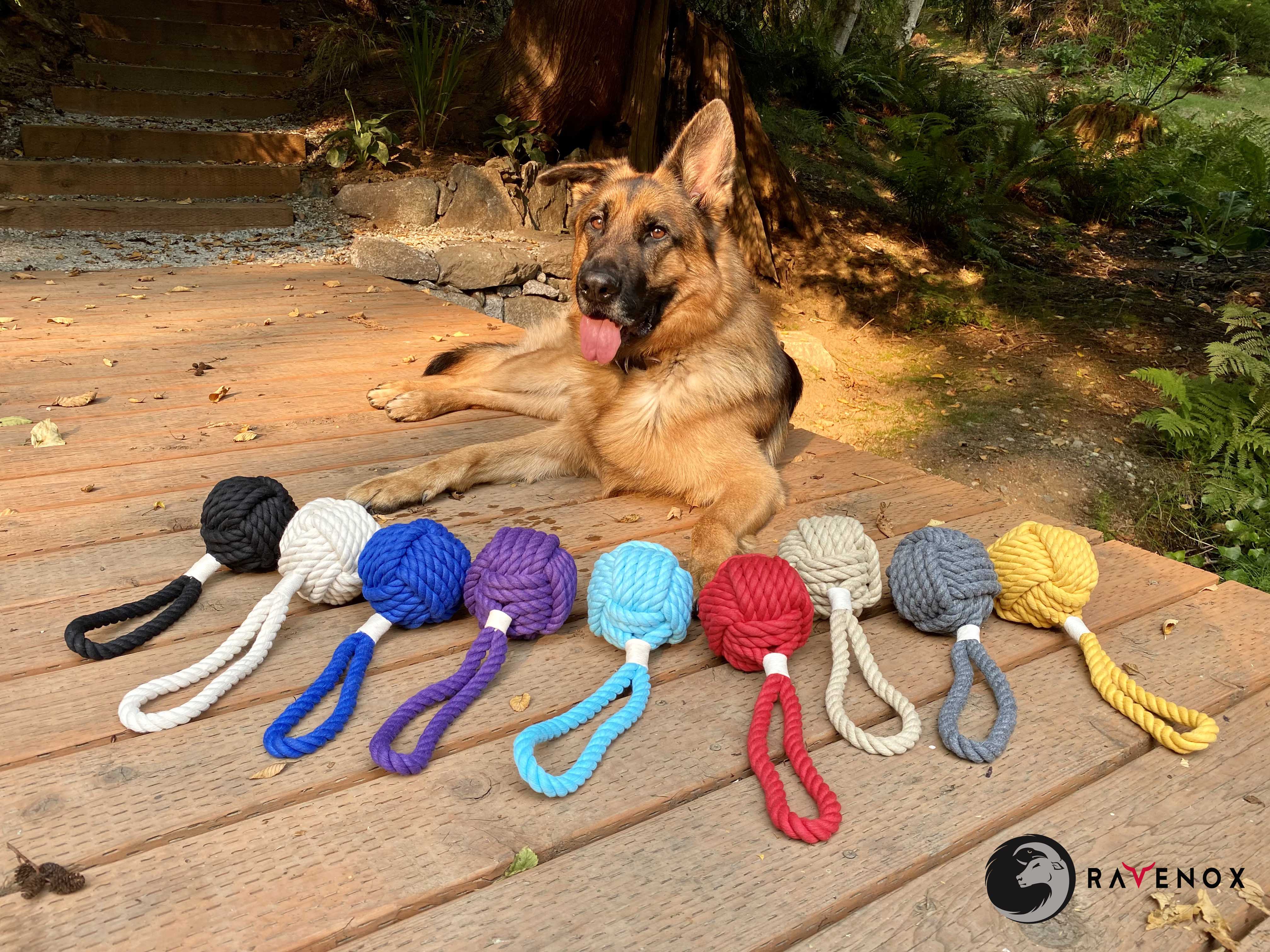 Interactive Dog Toys with Rope and Squeaky Ball, Durable Dog Toys for  Boredom and Stimulating, Tug of War Toys with Knotted Rope for Small Medium  and