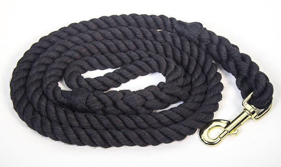 black leash for dog