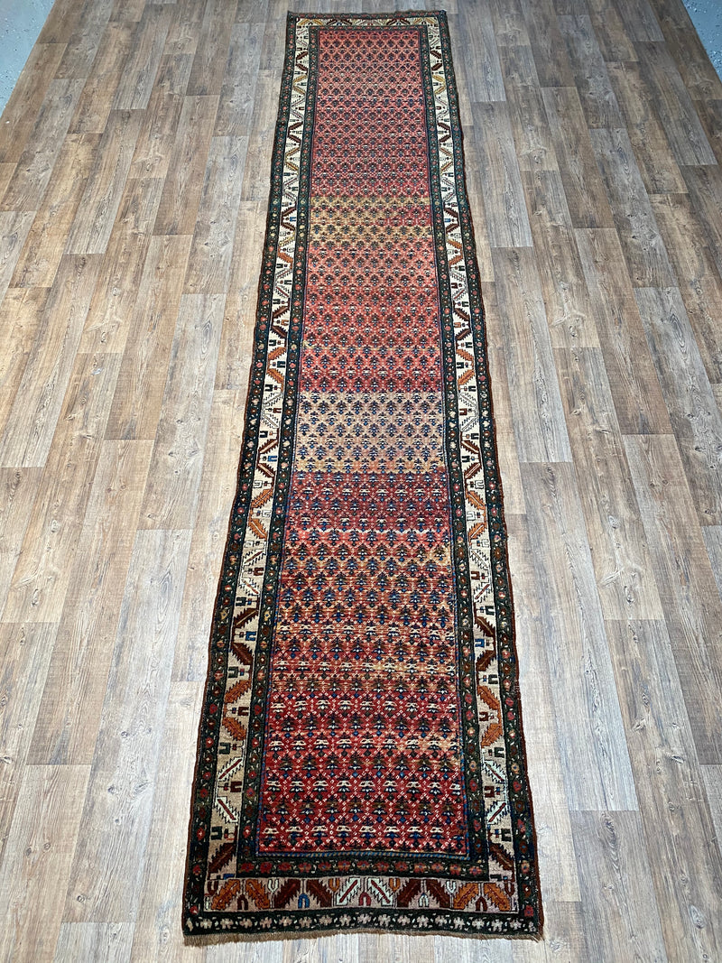Antique NW Persian Runner - 3'2" x 16'