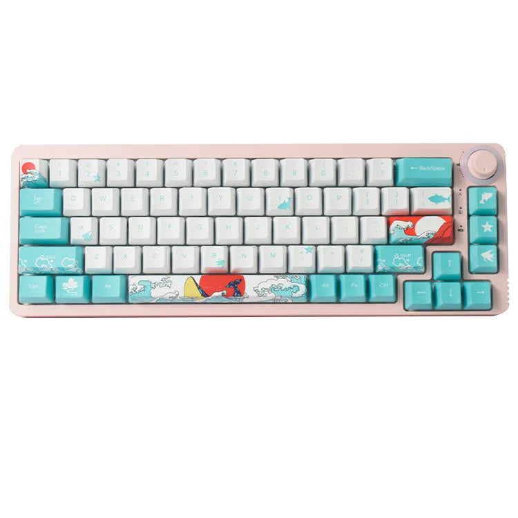 Ronin A680 Gaming Mechanical Keyboard 68 Key