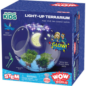 Light-Up Terrarium Wow in the World - The Wooden Horse