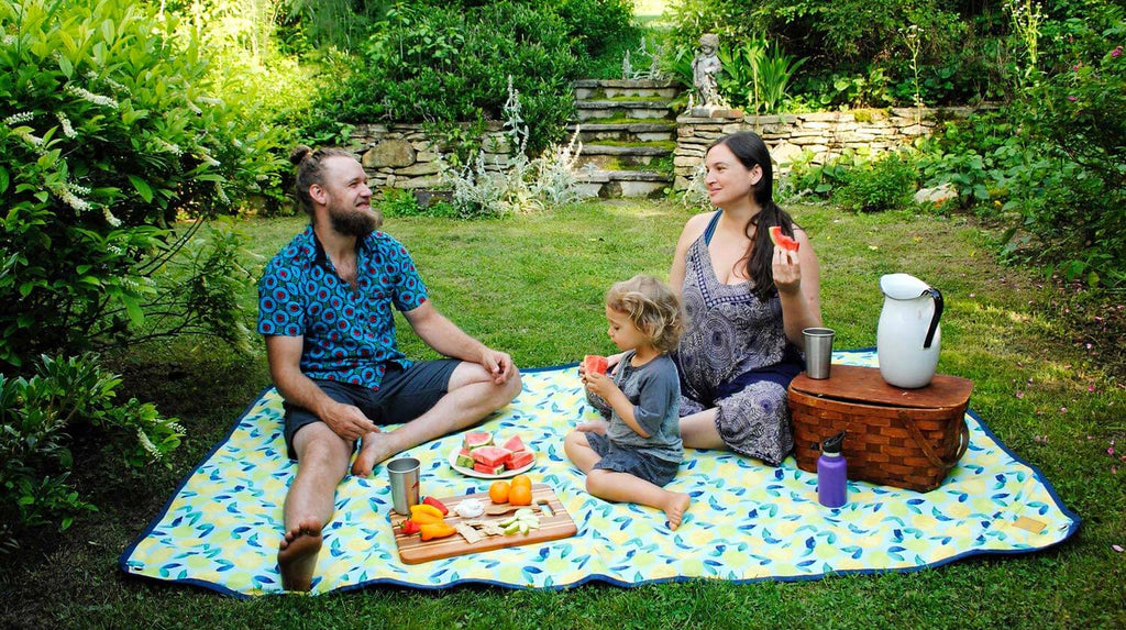 family picnic