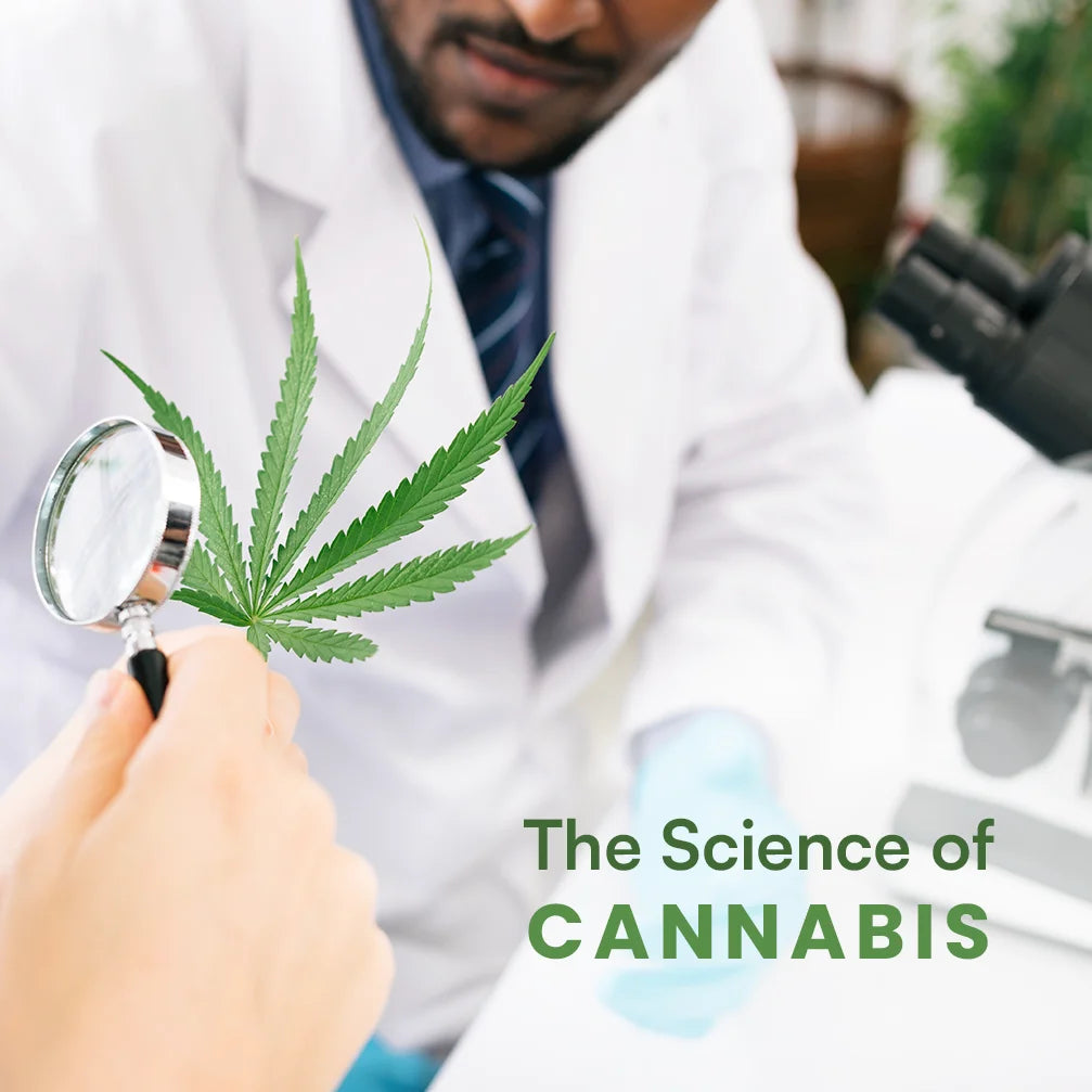 science-of-cannabis-blog