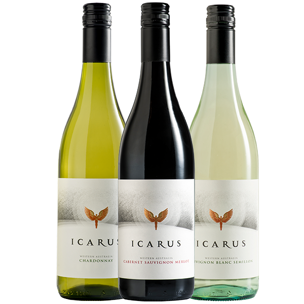 icarus wine story