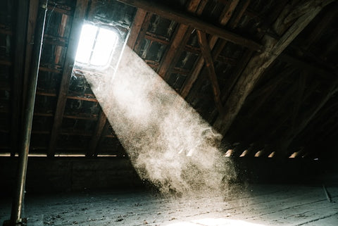 attic sealant