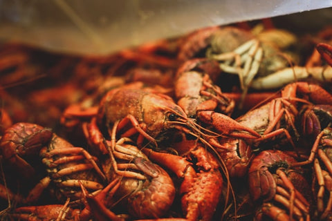 crawfish