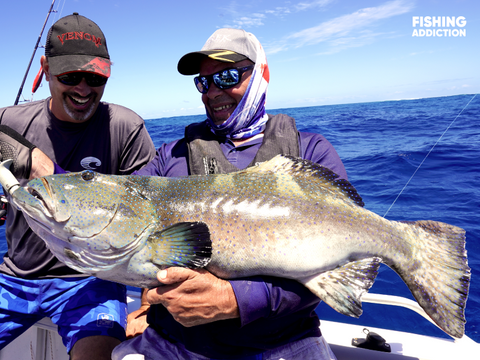 FISHING ADDICTION Great Barrier Reef coral trout