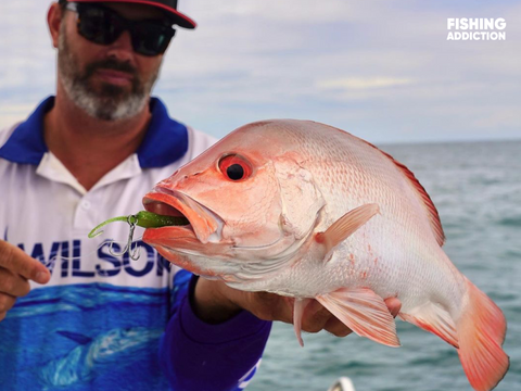 FISHING ADDICTION Great Barrier Reef nannygai