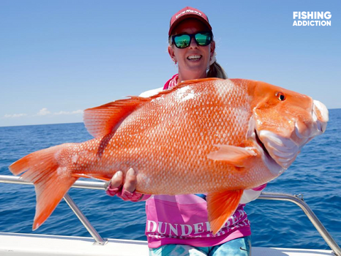 FISHING ADDICTION Great Barrier Reef red emperor