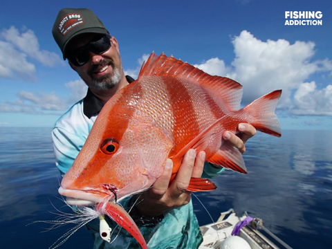 FISHING ADDICTION Great Barrier Reef red emperor
