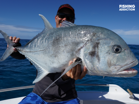 FISHING ADDICTION Great Barrier Reef giant trevally