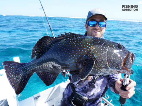 FISHING ADDICTION Great Barrier Reef Coral trout