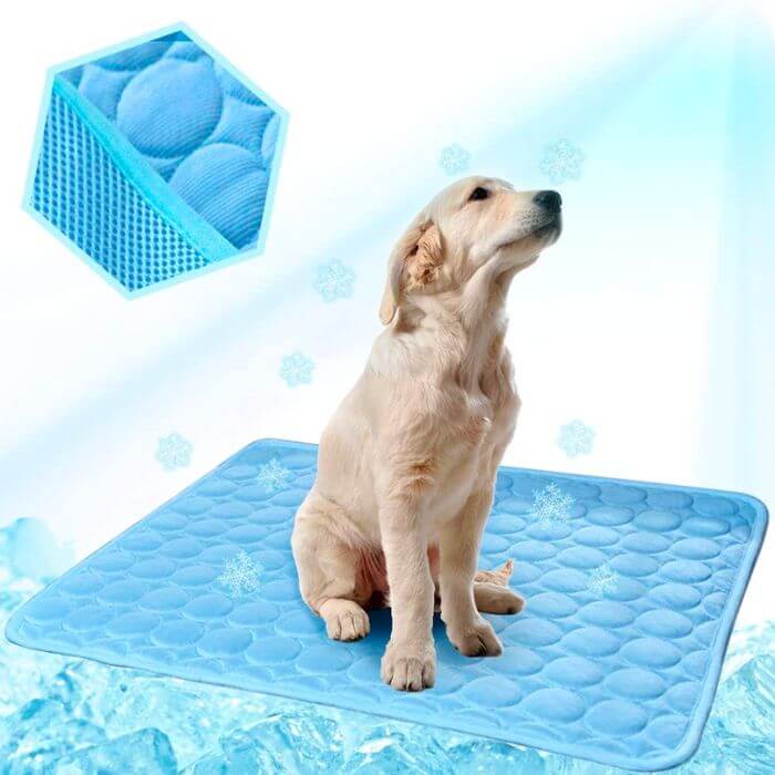 Um filhote de Labrador Retriever de cor creme sentado em um tapete de resfriamento azul claro, olhando para cima, cercado por ícones de flocos de neve que simbolizam frescor. No canto superior esquerdo, há uma imagem de um cubo de gelo contendo bolas de gelo azuis, enfatizando o efeito de resfriamento do tapete. O fundo é uma textura de gelo e água, reforçando a sensação de um ambiente frio.