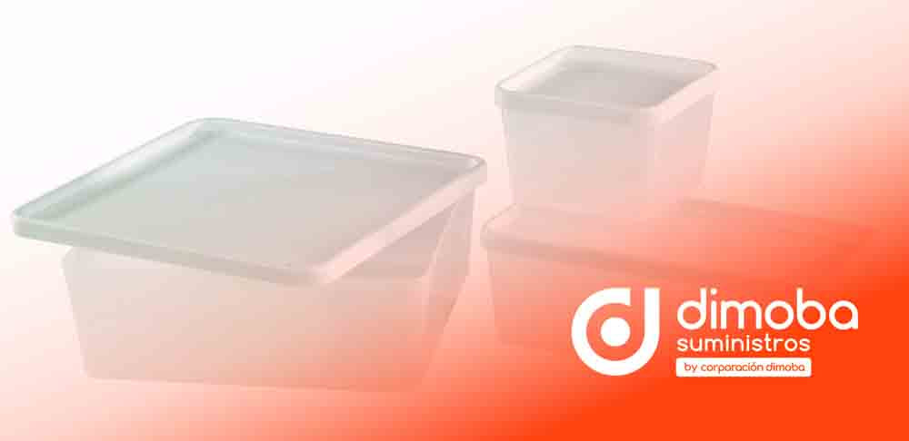 Caja Hermética para Alimentos. Tipo Envases y Contenedores de Plástico para Cocina