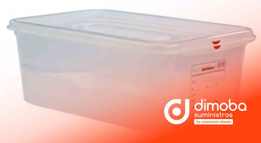 Caja y Tapa Gastronorma 1/1. Tipo Envases y Contenedores de Plástico para Cocina