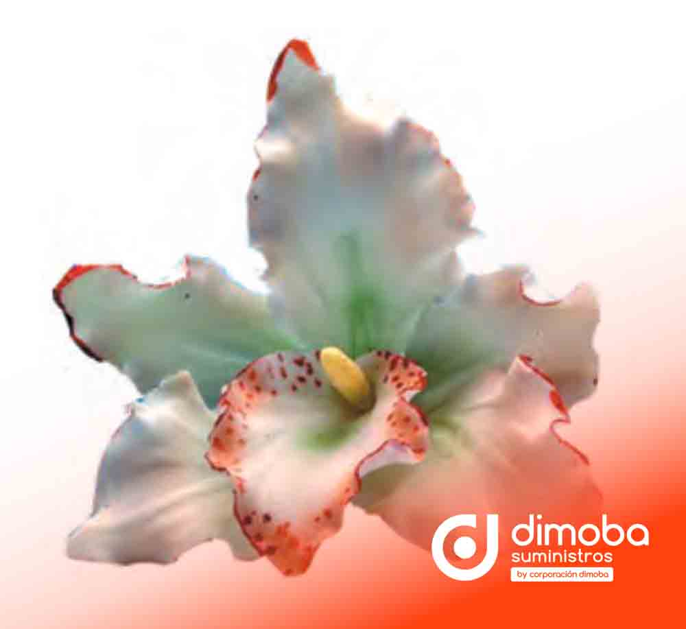 Orquidea Blanca Decoración. Tipo Flores de azúcar