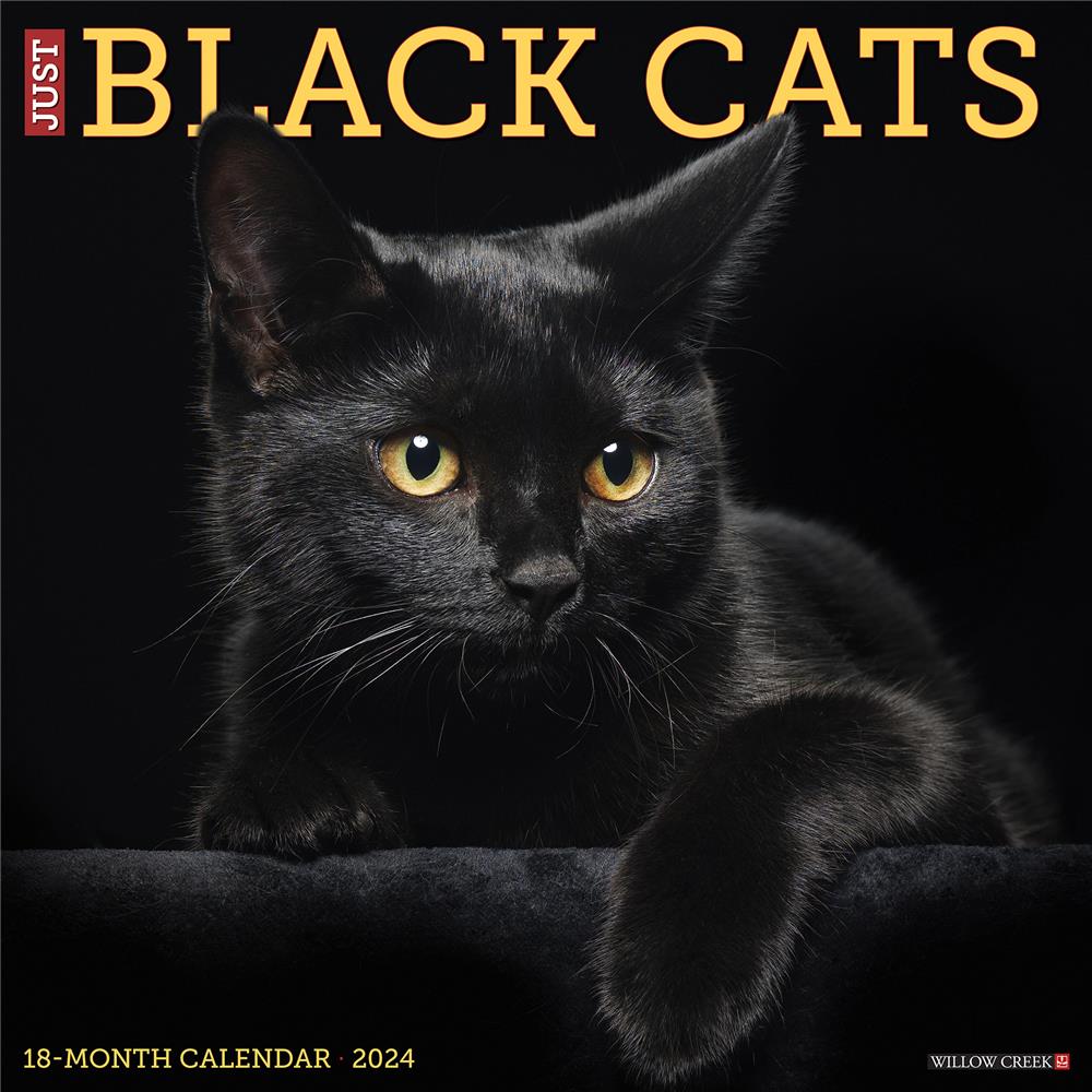 2024 BLACKARTSYGIRL JOURNAL AND PLANNER (CAT THEME)