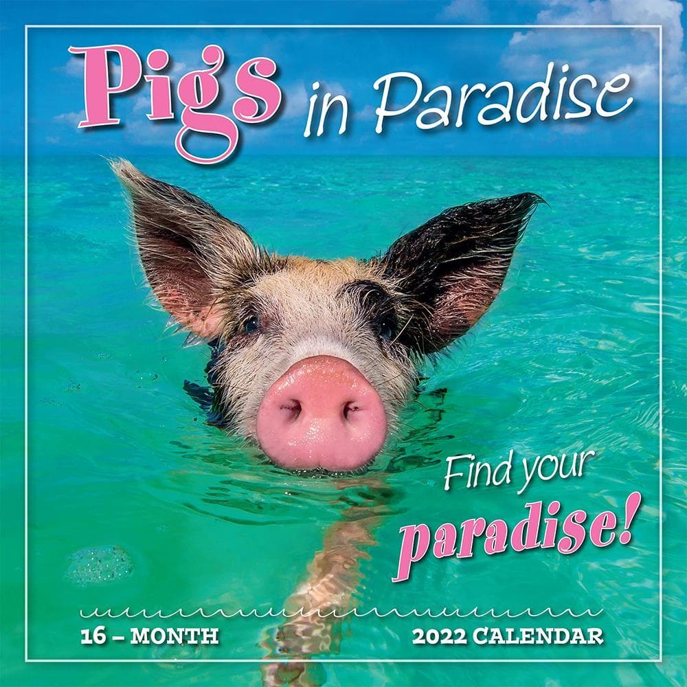 Pigs In Paradise 2022 Wall Calendar By Sellers Publishing Inc | 9781531912604 – Calendar Club Of Canada