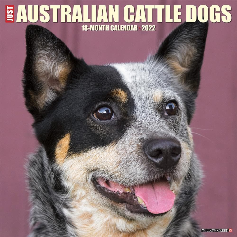 Cattle Dogs 2022 Wall - Online Exclusive by Creek Press | '9781549216718 – Club of Canada