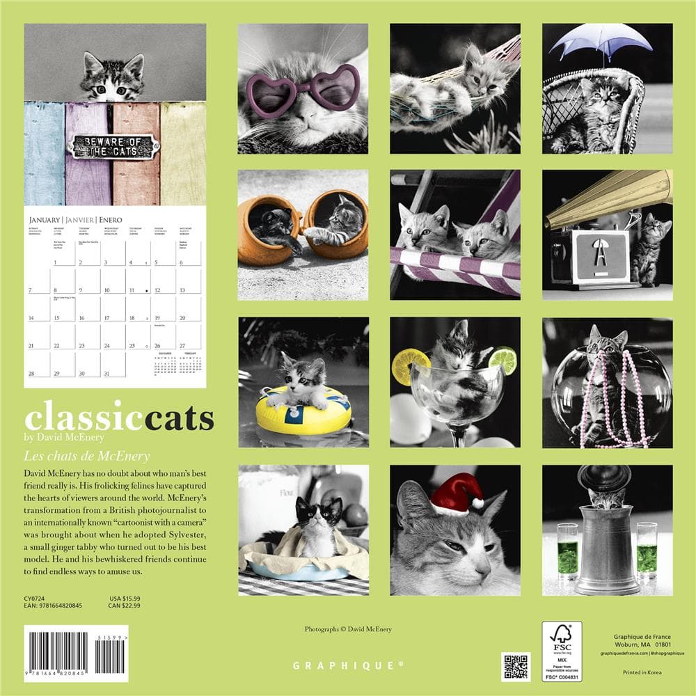 Ivory Cats by Lesley Anne Ivory Wall Calendar 2024 (Art Calendar