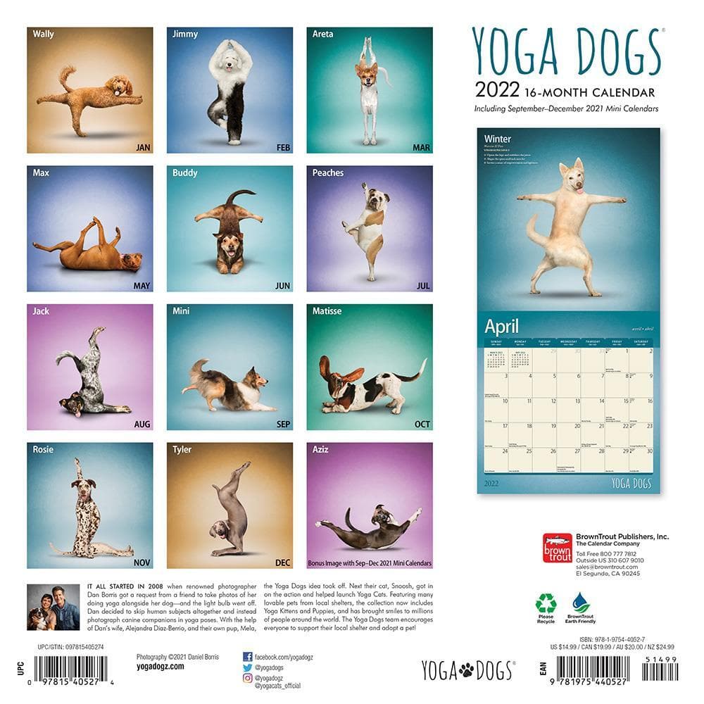 Yoga Dogs 2022 Wall Calendar by BrownTrout 9781975440527 Calendar