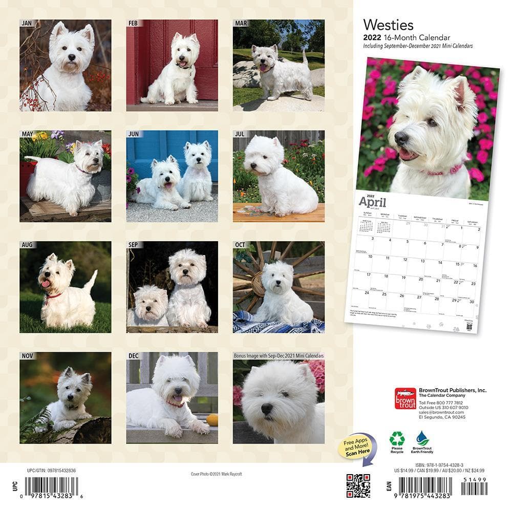 West Highland White Terriers 2022 Wall Calendar By Browntrout | 9781975443283 – Calendar Club Of Canada