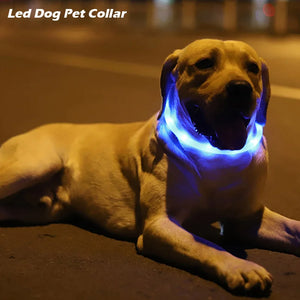 LED Dog Collar with USB Charging - Durable, Foldable, and Luminous Glow for Pet Supplies - Sigma Paws