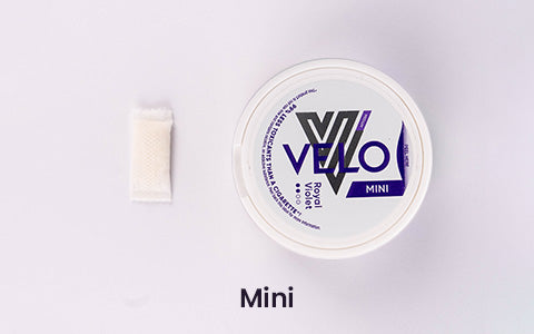 An image of a tub of nicotine pouches with a single nicotine pouch to the left of it labeled mini size