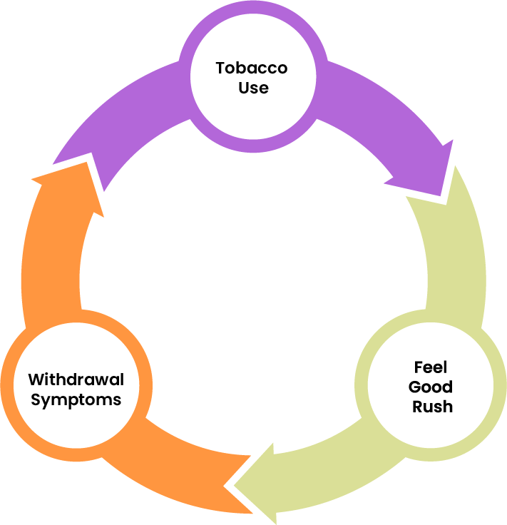 Graphic showing the nicotine addiction loop.