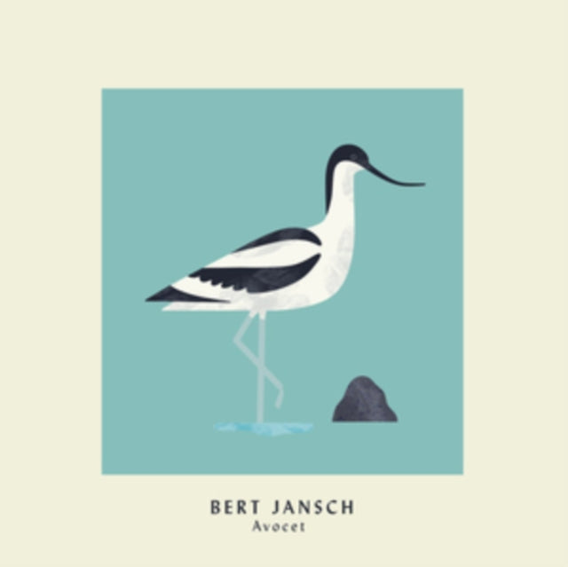 Avocet (Art Print Edition)