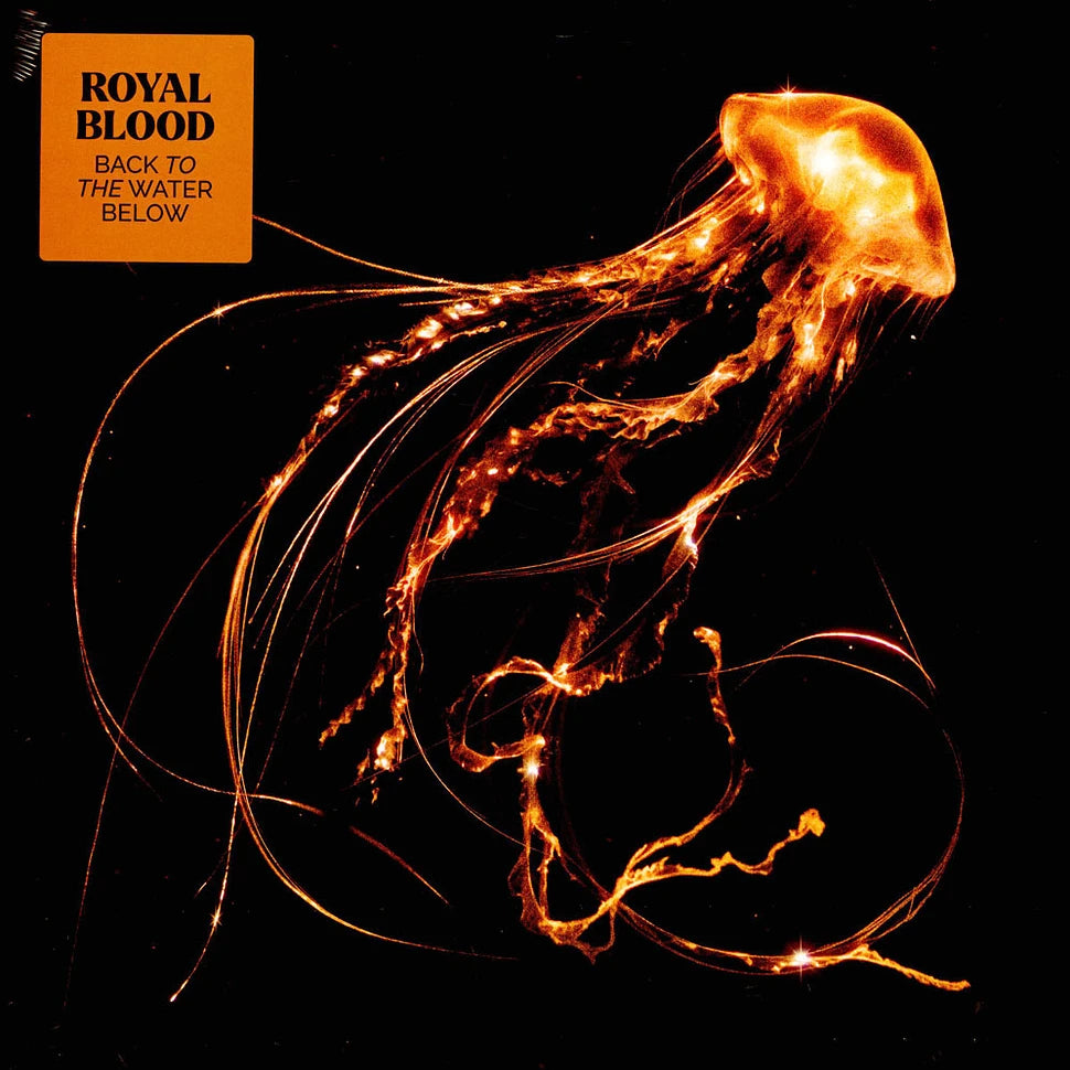 Back To The Water Below (Deluxe)
