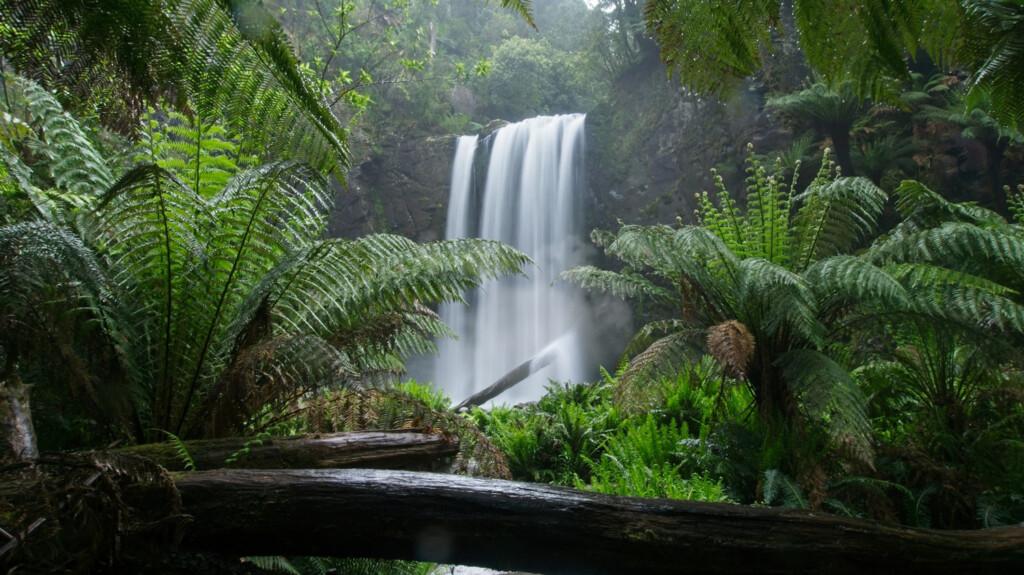 Nature noises like we hear with waterfalls are calming and help us fall asleep easier.