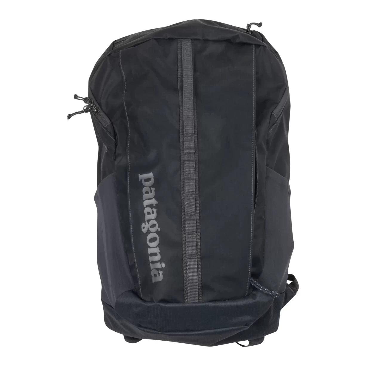 image of Patagonia Daypack