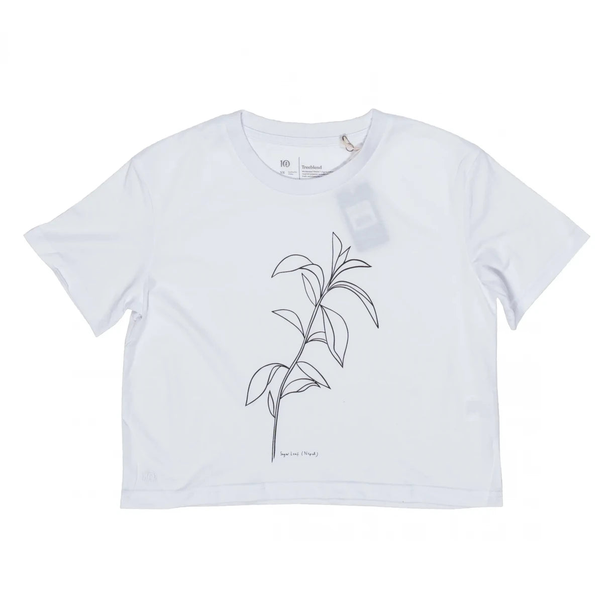 image of Tentree Sugar Leaf Oversized T-Shirt - Women's
