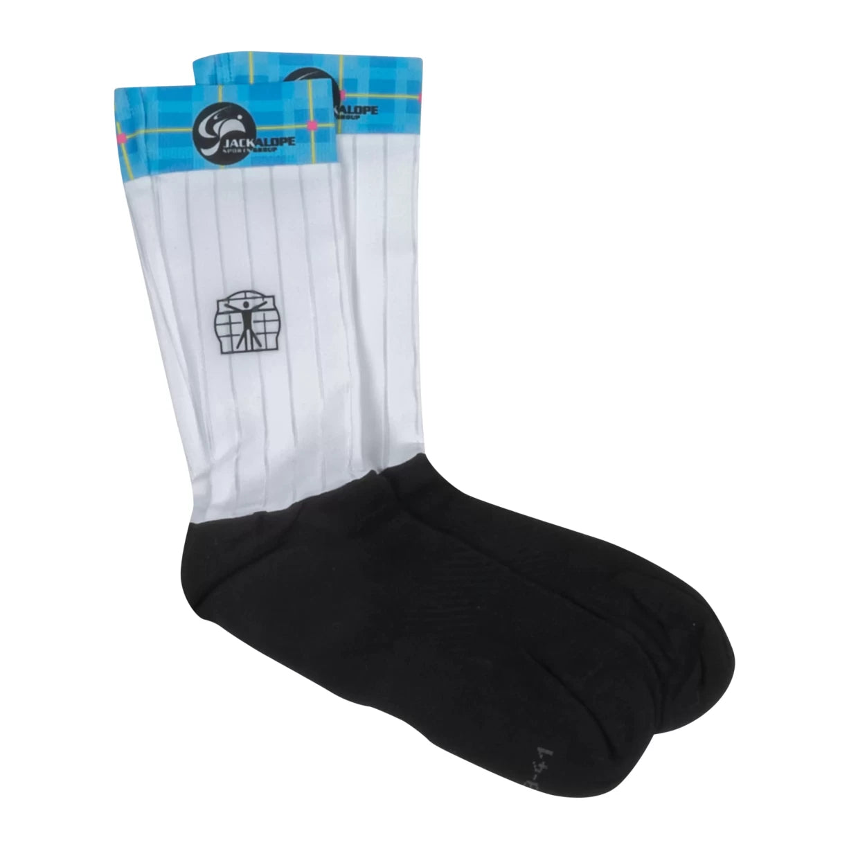 image of BIORACER Team Speed Sock Stripe