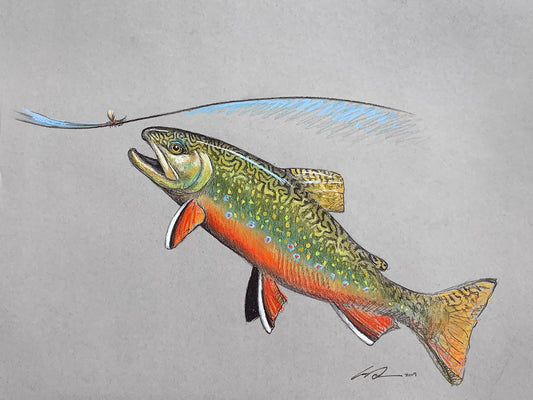 Rising Brook Trout Fine Art Print – Garrison Doctor Design