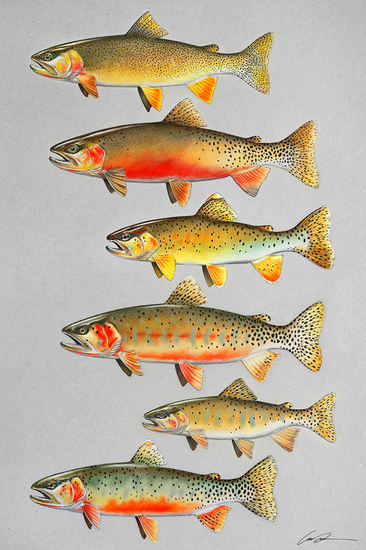 Rising to Chaos Brown Trout Digital Painting Giclee Prints Fly Fishing  Artwork Fish Stream Art Print the Bonnie Fly 