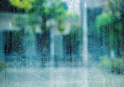 梅雨の時期のイメージ