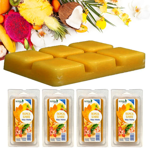 2 Pk Cube Apple Cinnamon Wax Melts Candle Warmers Fragrance 2.5oz
