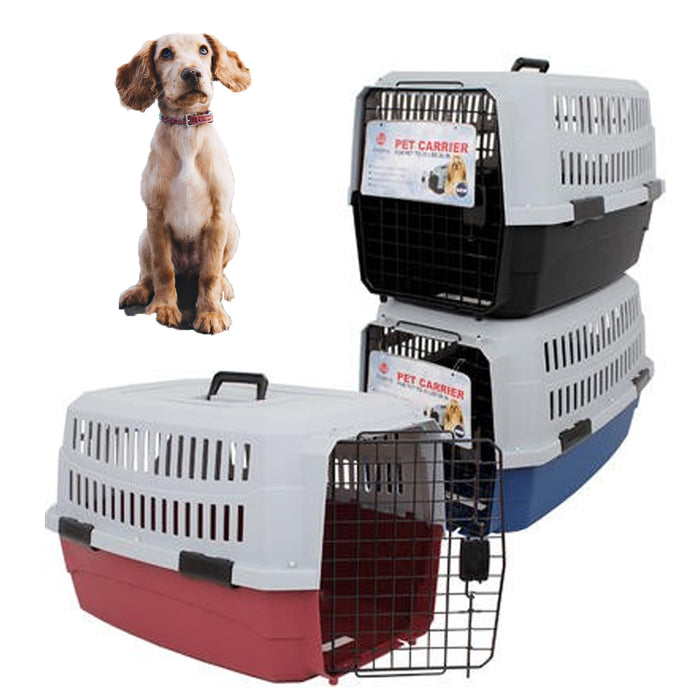 medium pet kennel