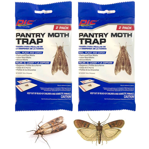 8 Pc Indian Meal Flour Pantry Moth Trap Glue Boards Food Moths Cupboar —  AllTopBargains