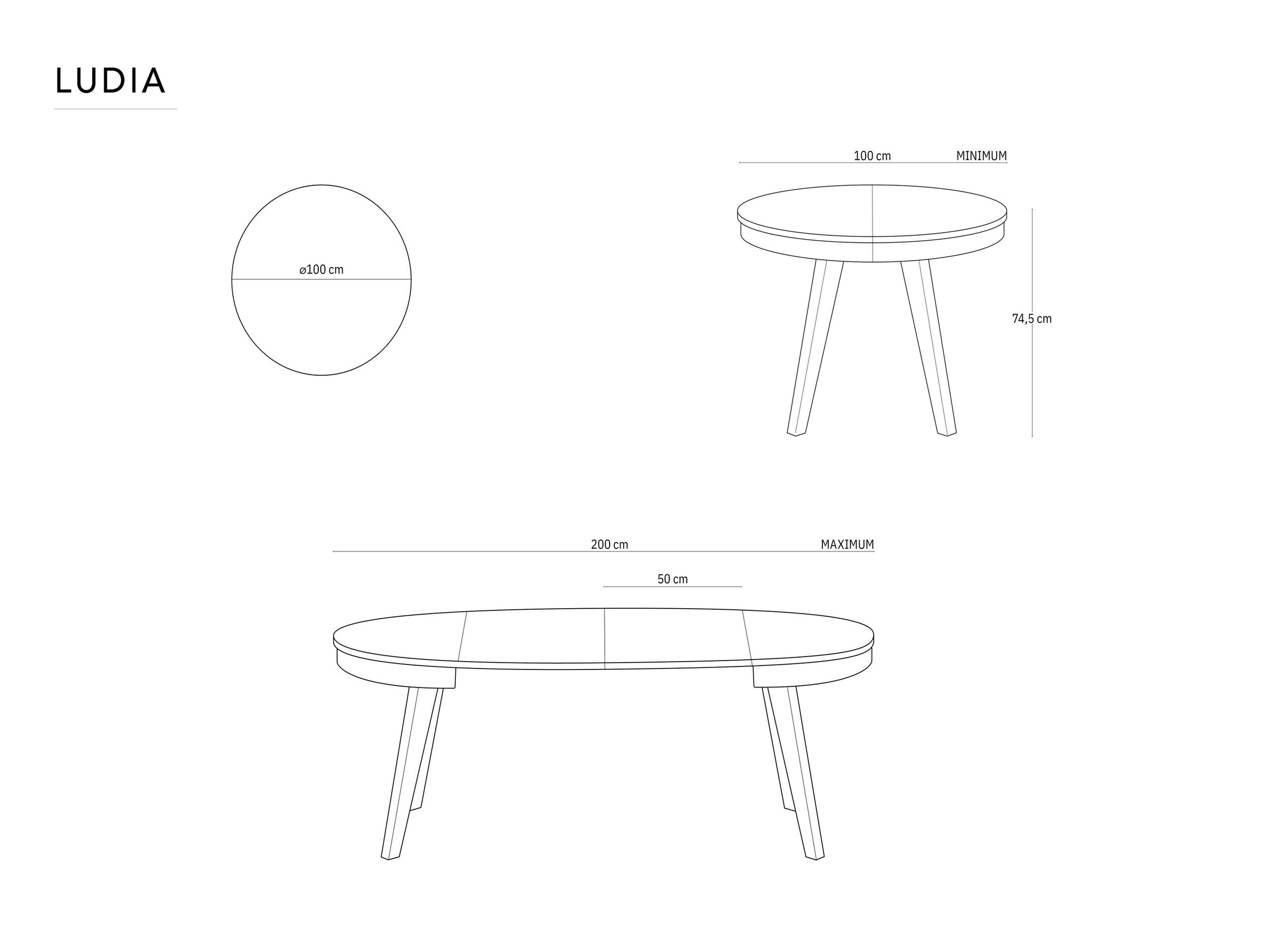 Ludia Wood / Natural oak veneer and oak 8